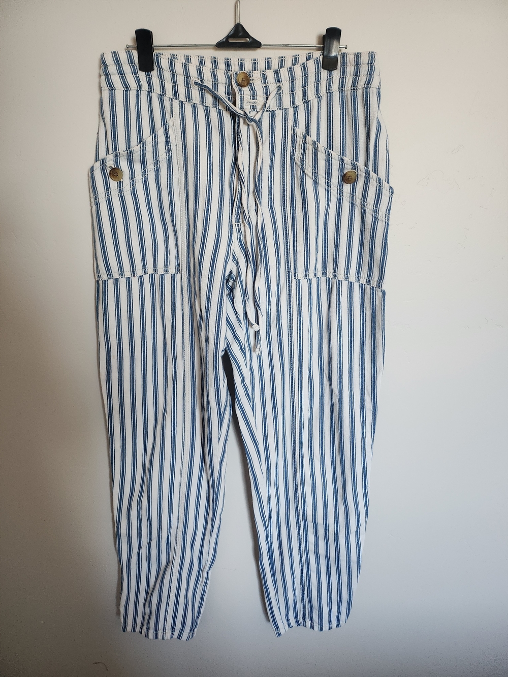 American Eagle Outfitters Blue and White Striped Cargo Pants